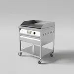 AccuTemp EGF2403B2450-S2