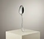 Alegacy Foodservice Products 3307