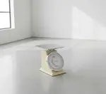 Alegacy Foodservice Products 53700