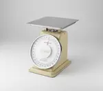 Alegacy Foodservice Products 53701