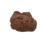 AllPoints Foodservice Parts & Supplies 281037