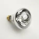 AllPoints Foodservice Parts & Supplies 381035