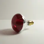 AllPoints Foodservice Parts & Supplies 381133