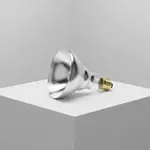 AllPoints Foodservice Parts & Supplies 381135