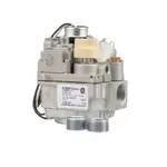 AllPoints Foodservice Parts & Supplies 541015