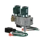 AllPoints Foodservice Parts & Supplies 541081
