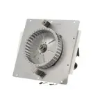 AllPoints Foodservice Parts & Supplies 8010816