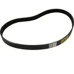 AllPoints Foodservice Parts & Supplies 8013757