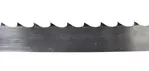 AMPTO RBOI-005
