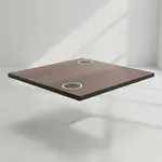 BFM CS3636-FP2