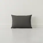 BFM PHPMBACK-PL