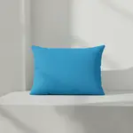 BFM PHPMBACK-PL+