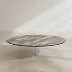 BFM TRN36RPP