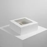 BOXIT CORPORATION BOXI10104W-126