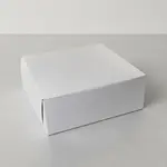 BOXIT CORPORATION BOXI16166B-261