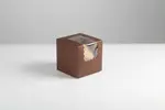 BOXIT CORPORATION BOXI444W-513