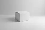 BOXIT CORPORATION BOXI554B-261