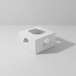 BOXIT CORPORATION BOXI84CI-261