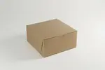 BOXIT CORPORATION BOXI884B-194