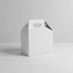 BOXIT CORPORATION BOXIGB955-000