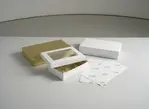 BOXIT CORPORATION BOXIV204-005