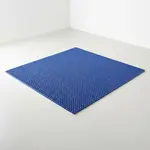 Cactus Mat 1042M-310