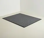 Cactus Mat 1425M-E35S