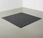 Cactus Mat 1425M-E41