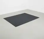 Cactus Mat 1425M-L31