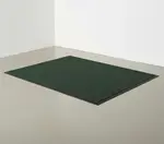 Cactus Mat 1425M-L46