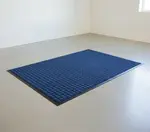 Cactus Mat 1425M-U31