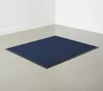 Cactus Mat 1426M-U35