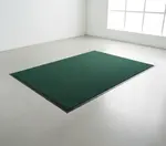 Cactus Mat 1437M-G31