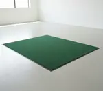 Cactus Mat 1437M-G34