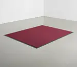 Cactus Mat 1437M-R31