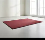 Cactus Mat 1437M-R35