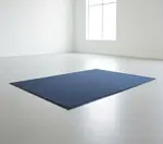 Cactus Mat 1437M-U31