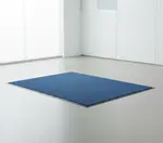 Cactus Mat 1437M-U35