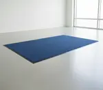 Cactus Mat 1437M-U41