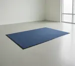 Cactus Mat 1437M-U46