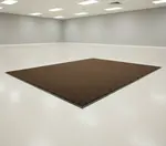 Cactus Mat 1437R-CB3