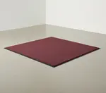 Cactus Mat 1438M-R35