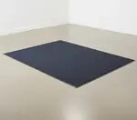 Cactus Mat 1438M-U31