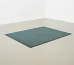 Cactus Mat 1485M-E23