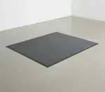 Cactus Mat 1485M-E35