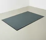 Cactus Mat 1485M-E36