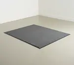 Cactus Mat 1485M-E48