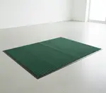 Cactus Mat 1485M-G34