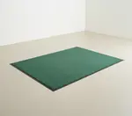 Cactus Mat 1485M-G36