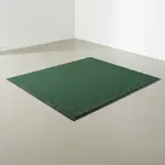 Cactus Mat 1485M-G48